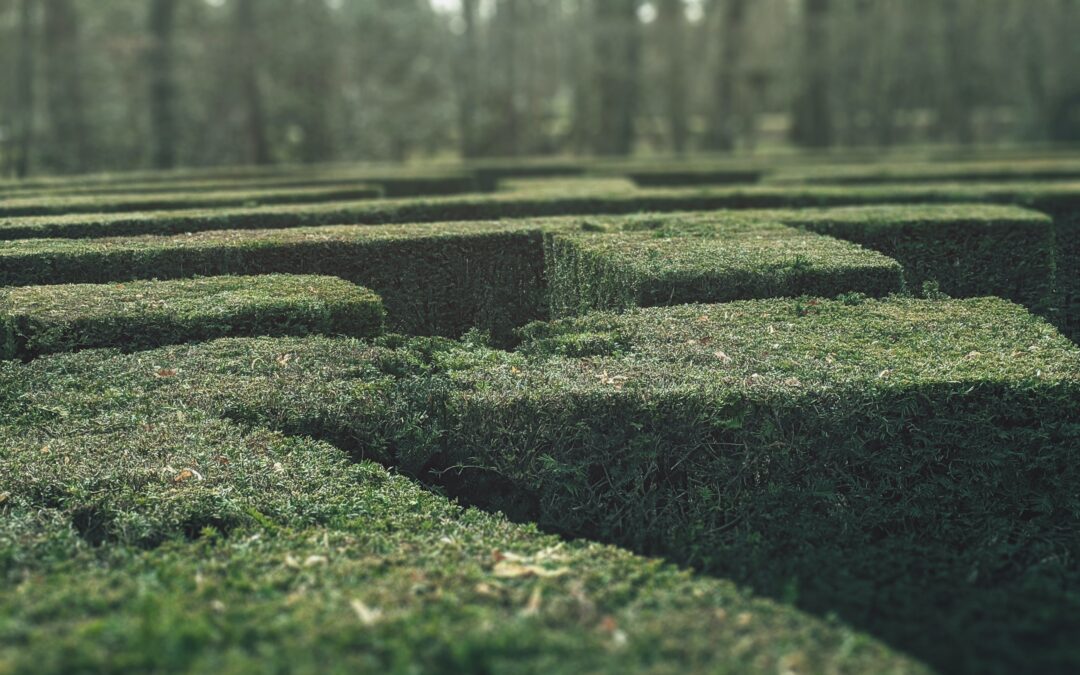 Labyrinth mit Fokus